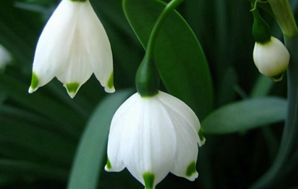 2019年陰歷十二月十七忌遷墳嗎,1月11日時辰吉兇查詢!(圖文)