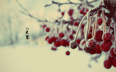 2019年臘月廿六日大寒是吉日嗎？大寒有什么習俗？(圖文)