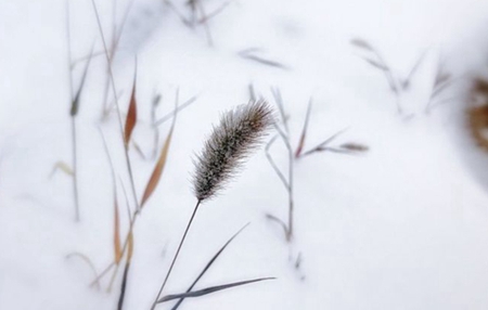 2019年立冬前一天不宜入宅喬遷嗎，孕婦忌諱參與搬家嗎？(圖文)