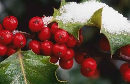 2019年霜降出生寶寶起名帶什么字好？霜降出生寶寶命好嗎？(圖文)