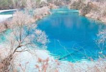 生肖雞的貴人屬相是什么生肖?屬雞的人一生命運如何?