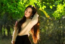 屬豬的人在2019年的運勢