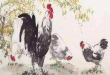 屬雞的亥時出生怎樣?生肖雞的優(yōu)點是什么?