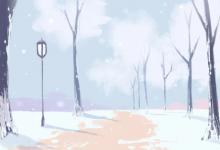 文竹擺放禁忌 植物風水擺放詳解