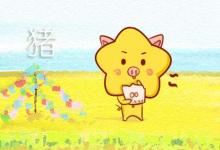 本周生肖豬運勢(10.21-10.27)