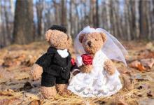 女屬蛇男屬狗合適嗎