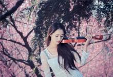 屬鼠2020年運勢及運程每月運程