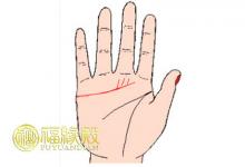 感情線分叉很多意味著什么