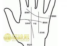 男人的事業線代表著什么