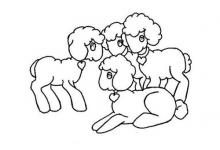 03年屬羊人的災難年齡是幾歲