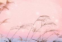 兩腮無肉的人會居心不良嗎