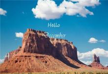 農歷2019年臘月出生屬相是豬的寶寶命理分析!