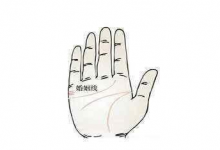 怎樣看手相婚姻線,婚姻幸福的人有哪些特點