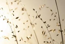 農(nóng)歷十一月是陽歷幾月,2019年冬月有哪些搬家吉日？