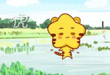 孩子屬相和父母相沖如何化解