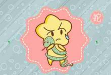 張飛屬于什么生肖角色 生肖屬蛇