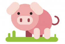 土豬命好還是金鼠命好