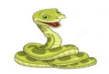 屬鼠和屬蛇的婚姻會長久嗎