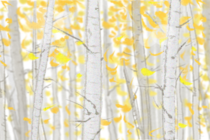 三顆痣連成一條線代表什么意思(圖文)