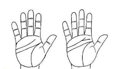 斷掌手相圖解