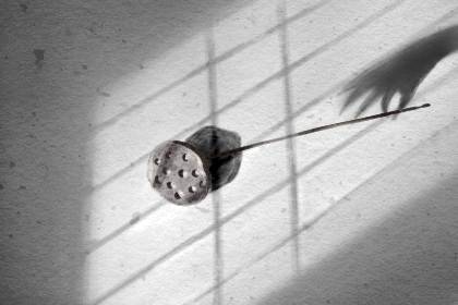 命宮化忌入夫妻 夫妻緣分薄(圖文)