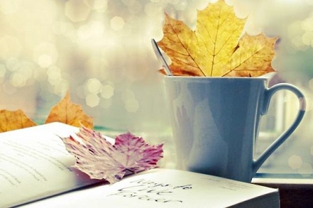 2019年小雪出生乳名 2019年小雪新潮有趣寶寶小名精選!(圖文)