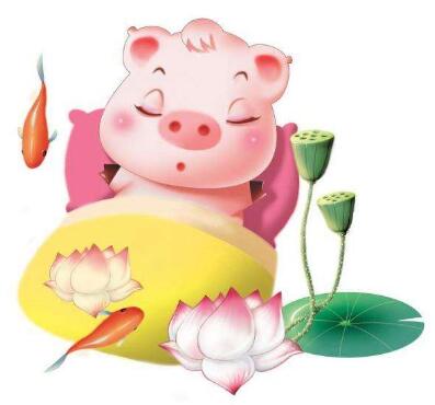 屬豬人的住宅風水有哪些講究?(圖文)