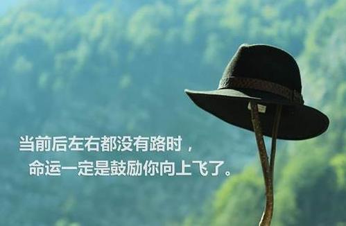 富貴竹擺放—2020年富貴竹應(yīng)該擺放在什么方位吉利?(圖文)