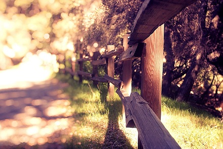 2019年小雪時(shí)尚又好聽的寶寶三個(gè)字乳名小名(圖文)