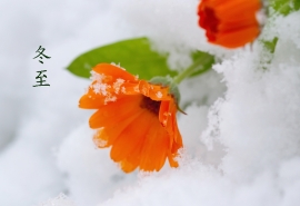 節(jié)日冬至要不要上墳 冬至講究家人團圓！(圖文)