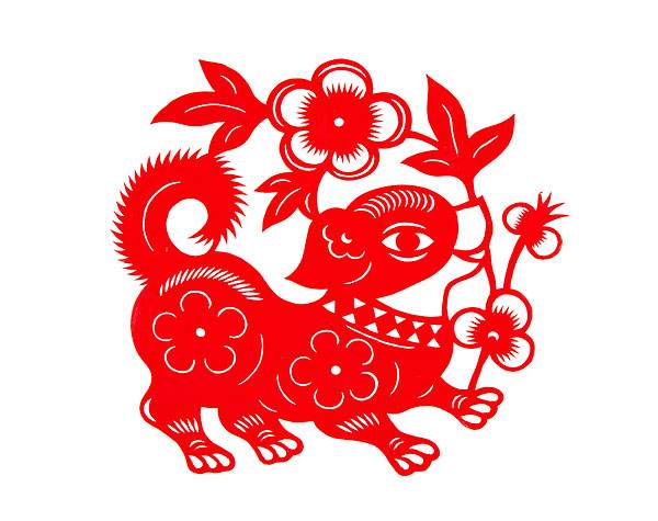 屬狗寅時出生的女孩命運怎么樣?(圖文)