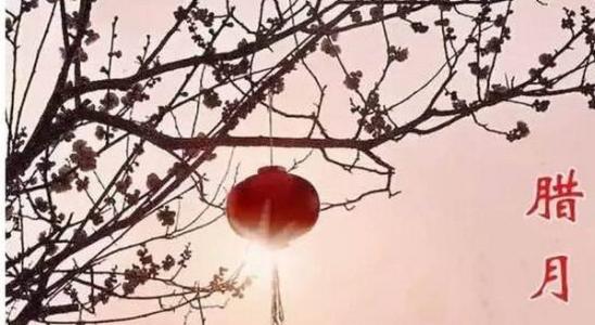 農歷2019小年臘月二十三出生女寶命好嗎 有福氣嗎？(圖文)