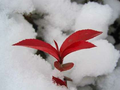 2019年冬至出生的孩子八字喜用神是什么,性格怎么樣?(圖文)