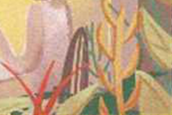 出門旅游很照顧別人感受的面相(圖文)