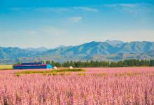 屬兔女和屬鼠男有緣分嗎 會相沖相克嗎?