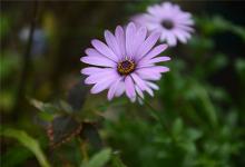 1994年的何時運氣不佳