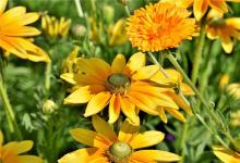 1980年生人運程如何