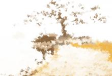 今日喜神方位查詢 2019年12月28日喜神在哪個方向