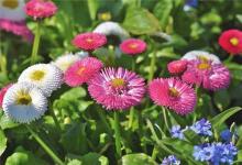 1990年的何時運氣不佳