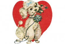 屬狗男晚婚會娶了誰,娶生肖兔婚后幸福