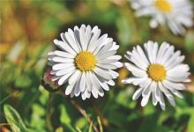 1999年的何時運氣不佳