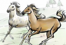 什么生肖最旺馬,屬兔最旺馬財(cái)運(yùn)