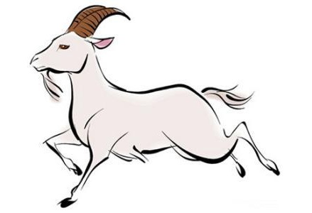 屬羊的人2019年年底跳槽合不合適?屬羊2019年兇位?(圖文)