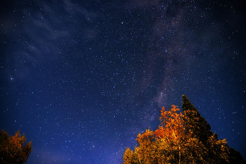 2020年農歷二月十一是吉日嗎 與什么屬相相沖？(圖文)