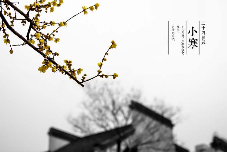 2020年小寒節氣是在幾月幾日幾點幾分?小寒具體時間介紹(圖文)