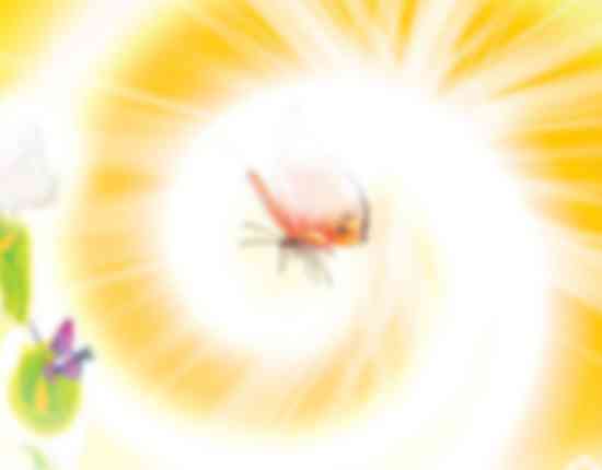 屬龍辦公室風水布局