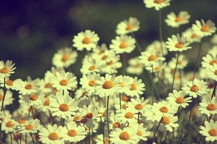 屬鼠的19年到年底能好嗎?屬鼠的人2019年開運方位?(圖文)