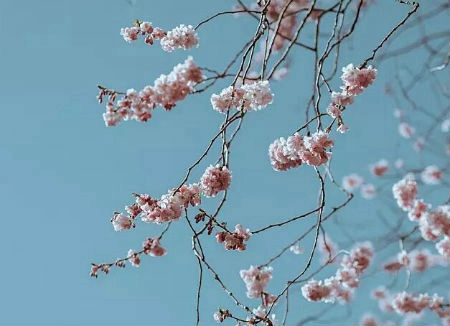 2020年正月二十二出生男孩命運好嗎,性格怎么樣?(圖文)