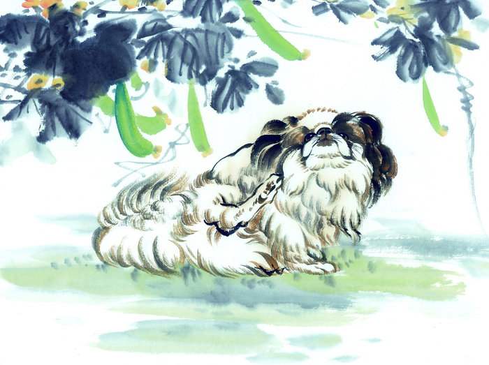 1958年屬狗的人2020年運(yùn)勢及運(yùn)程大全解析(圖文)