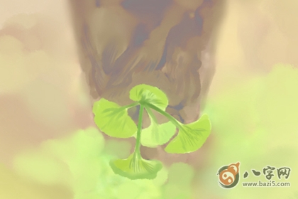 五行缺金八字喜水什么意思(圖文)